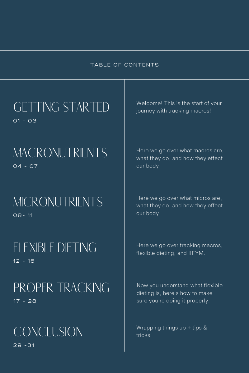 Macros 101: How to Track Macros